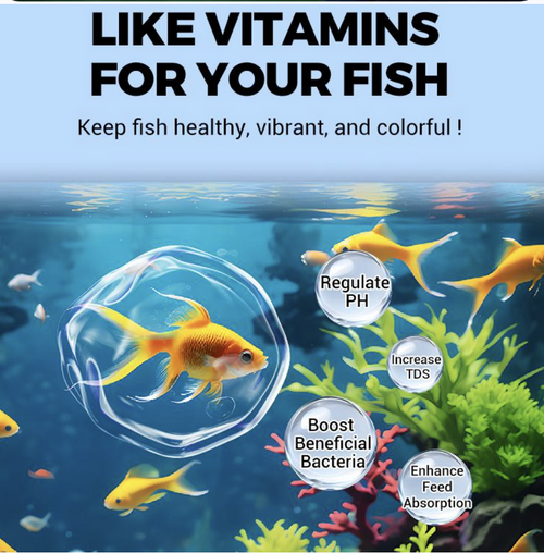 Instant Water Purifier Tablets